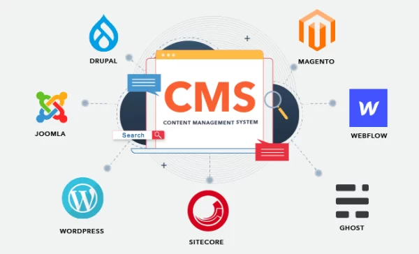 Standard Web Development CMS